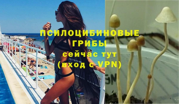 spice Белоозёрский