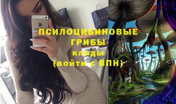 spice Белоозёрский