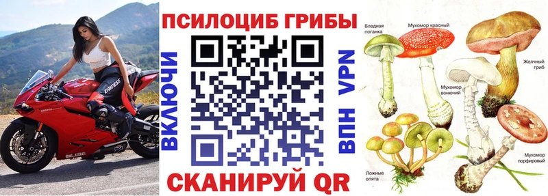 Галлюциногенные грибы мицелий  купить наркотик  Кондрово 