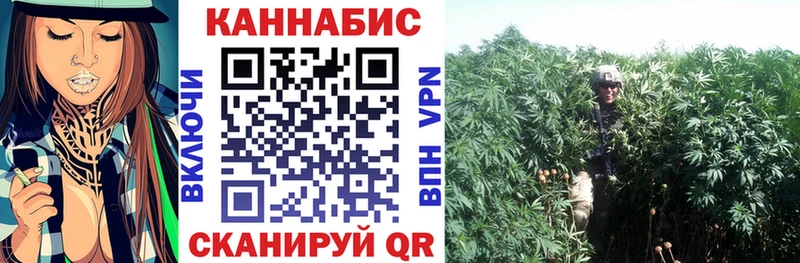 наркотики  Кондрово  Канабис гибрид 